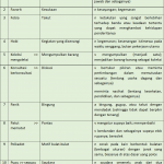 kata-kata baru