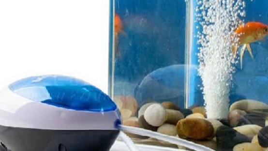 Harga Aerator Berikut id