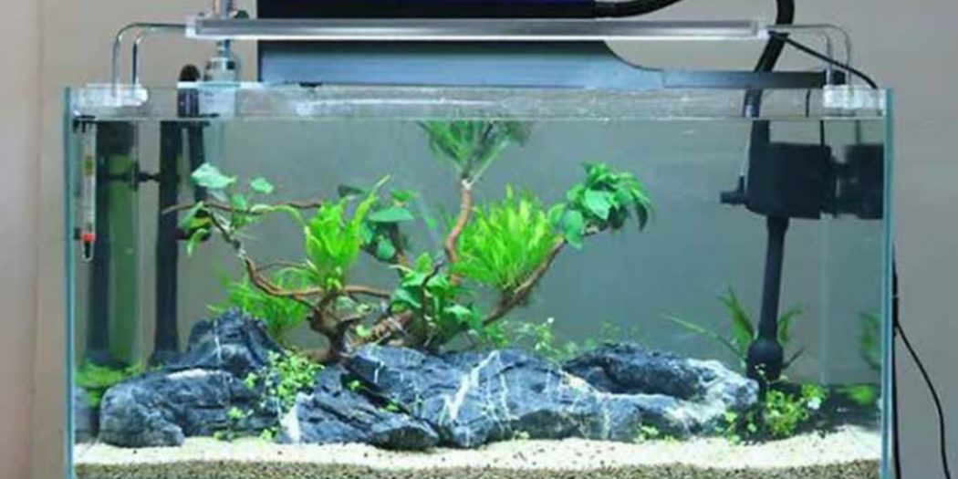 Harga Filter Aquarium Berikut.id
