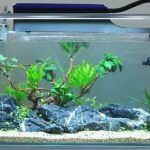 Gambar Filter Aquarium