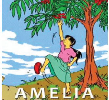 Kunci Jawaban Teks Prosedur dalam Novel Amelia