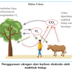 Penjelasan Karakteristik Makhluk Hidup (Part 3)