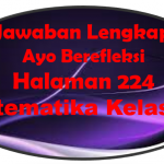 Jawaban Ayo Berefleksi Matematika Halaman 224 Kelas 10