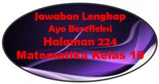 Jawaban Ayo Berefleksi Matematika Halaman 224 Kelas 10