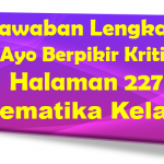 Jawaban Ayo Berpikir Kritis Matematika Halaman 227 Kelas 10