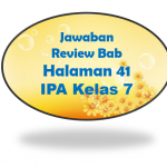 Jawaban Review Bab No 1 dan 2 IPA Halaman 41 Kelas 7