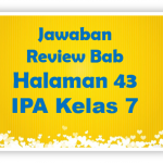Jawaban Review Bab No 4 dan 5 IPA Halaman 43 Kelas 7