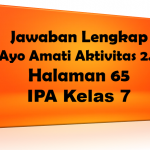 Jawaban Ayo Amati IPA Halaman 65 Kelas 7