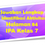 Jawaban Ayo Identifikasi IPA Halaman 84 Kelas 7