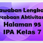 Jawaban Percobaan Aktivitas 3.3 IPA Halaman 95 Kelas 7